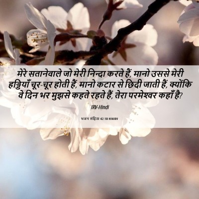 Picture 06 - भजन संहिता 42:10 HINIRV - मेरे सतानेवाले जो - Bible Verse Picture