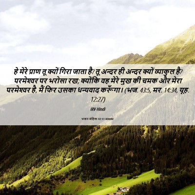 Picture 06 - भजन संहिता 42:11 HINIRV - हे मेरे प्राण तू - Bible Verse Picture