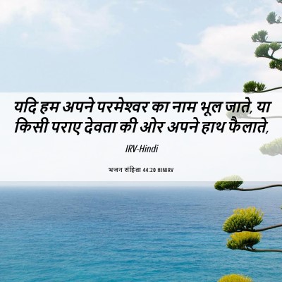 Picture 06 - भजन संहिता 44:20 HINIRV - यदि हम अपने - Bible Verse Picture