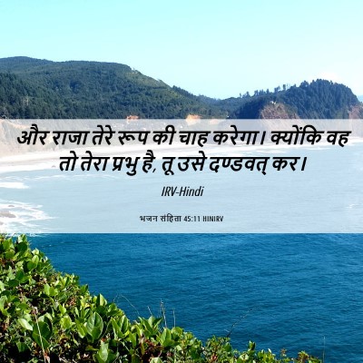 Picture 06 - भजन संहिता 45:11 HINIRV - और राजा तेरे रूप की - Bible Verse Picture