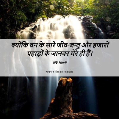 Picture 06 - भजन संहिता 50:10 HINIRV - क्योंकि वन के सारे - Bible Verse Picture