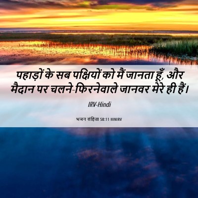 Picture 06 - भजन संहिता 50:11 HINIRV - पहाड़ों के सब - Bible Verse Picture