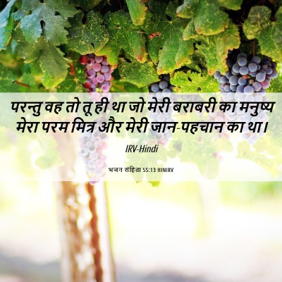 Picture 06 - भजन संहिता 55:13 HINIRV - परन्तु वह तो तू ही - Bible Verse Picture