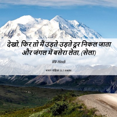 Picture 06 - भजन संहिता 55:7 HINIRV - देखो, फिर तो मैं - Bible Verse Picture