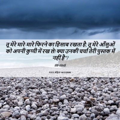 Picture 06 - भजन संहिता 56:8 HINIRV - तू मेरे मारे-मारे - Bible Verse Picture