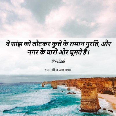 Picture 06 - भजन संहिता 59:14 HINIRV - वे सांझ को लौटकर - Bible Verse Picture