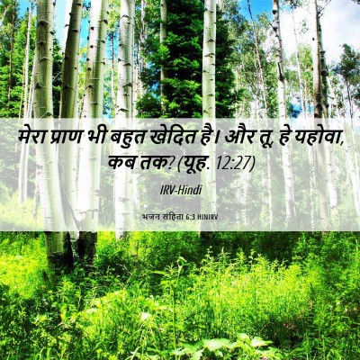 Picture 06 - भजन संहिता 6:3 HINIRV - मेरा प्राण भी बहुत - Bible Verse Picture