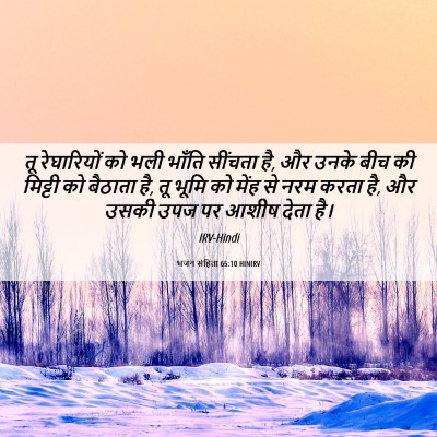 Picture 06 - भजन संहिता 65:10 HINIRV - तू रेघारियों को - Bible Verse Picture