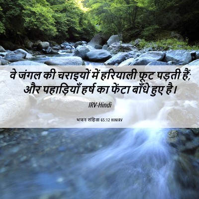 Picture 06 - भजन संहिता 65:12 HINIRV - वे जंगल की चराइयों - Bible Verse Picture