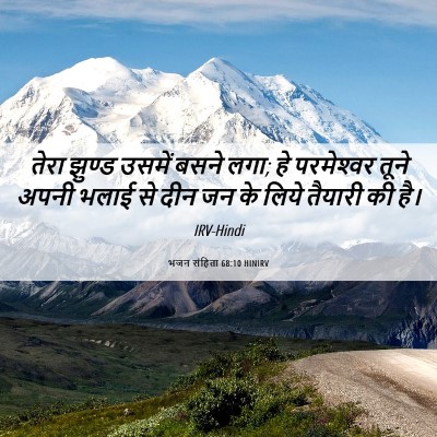 Picture 06 - भजन संहिता 68:10 HINIRV - तेरा झुण्ड उसमें - Bible Verse Picture