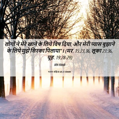 Picture 06 - भजन संहिता 69:21 HINIRV - लोगों ने मेरे खाने - Bible Verse Picture