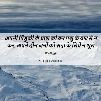 Picture 06 - भजन संहिता 74:19 HINIRV - अपनी पिंडुकी के - Bible Verse Picture