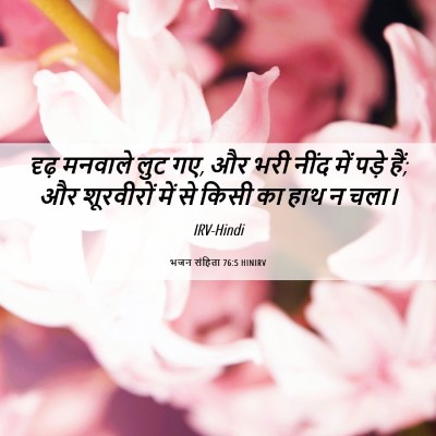 Picture 06 - भजन संहिता 76:5 HINIRV - दृढ़ मनवाले लुट गए, - Bible Verse Picture