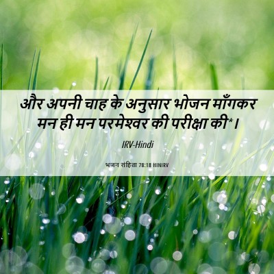 Picture 06 - भजन संहिता 78:18 HINIRV - और अपनी चाह के - Bible Verse Picture