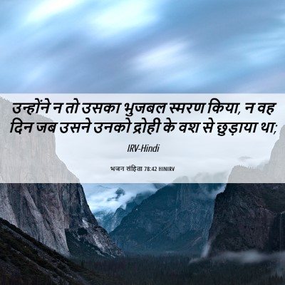 Picture 06 - भजन संहिता 78:42 HINIRV - उन्होंने न तो उसका - Bible Verse Picture