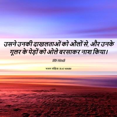 Picture 06 - भजन संहिता 78:47 HINIRV - उसने उनकी - Bible Verse Picture