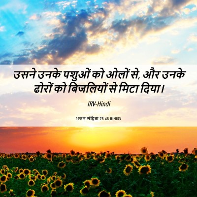 Picture 06 - भजन संहिता 78:48 HINIRV - उसने उनके पशुओं को - Bible Verse Picture