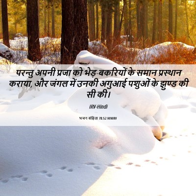 Picture 06 - भजन संहिता 78:52 HINIRV - परन्तु अपनी प्रजा - Bible Verse Picture