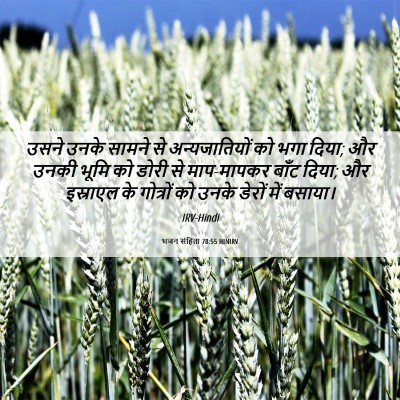 Picture 06 - भजन संहिता 78:55 HINIRV - उसने उनके सामने से - Bible Verse Picture