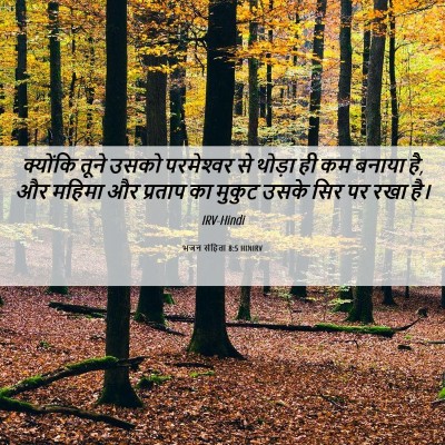 Picture 06 - भजन संहिता 8:5 HINIRV - क्योंकि तूने उसको - Bible Verse Picture