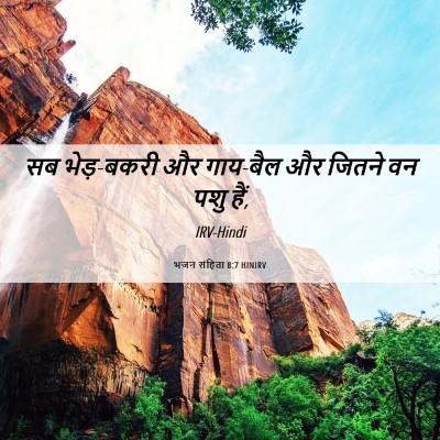 Picture 06 - भजन संहिता 8:7 HINIRV - सब भेड़-बकरी और - Bible Verse Picture