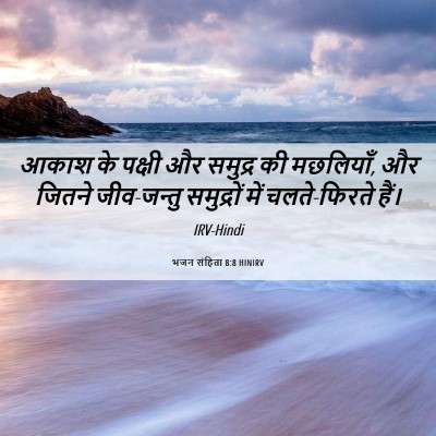 Picture 06 - भजन संहिता 8:8 HINIRV - आकाश के पक्षी और - Bible Verse Picture
