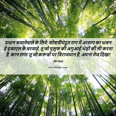 Picture 06 - भजन संहिता 80:1 HINIRV - प्रधान बजानेवाले - Bible Verse Picture