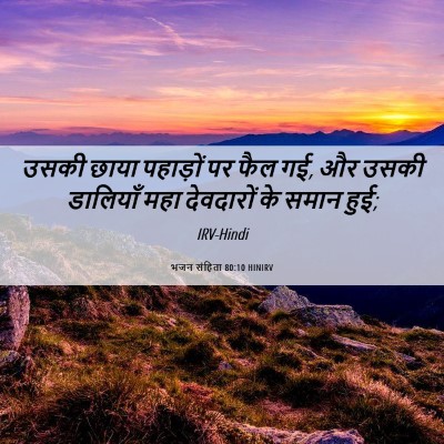 Picture 06 - भजन संहिता 80:10 HINIRV - उसकी छाया पहाड़ों - Bible Verse Picture
