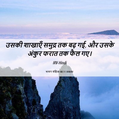 Picture 06 - भजन संहिता 80:11 HINIRV - उसकी शाखाएँ - Bible Verse Picture