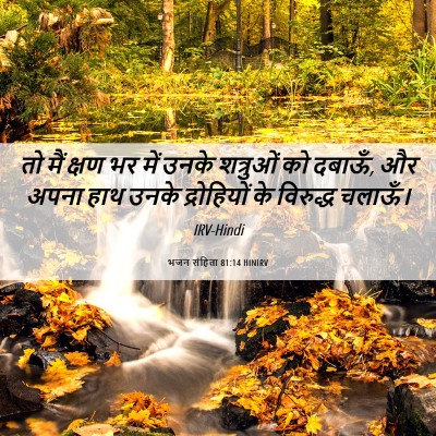 Picture 06 - भजन संहिता 81:14 HINIRV - तो मैं क्षण भर में - Bible Verse Picture