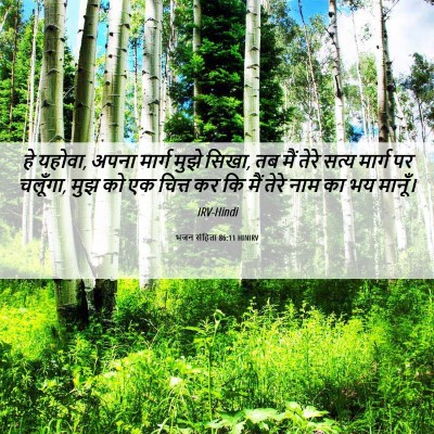 Picture 06 - भजन संहिता 86:11 HINIRV - हे यहोवा, अपना - Bible Verse Picture