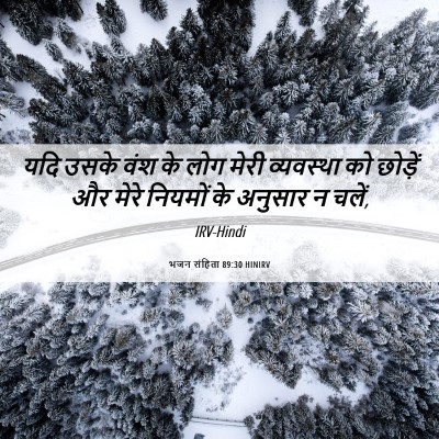 Picture 06 - भजन संहिता 89:30 HINIRV - यदि उसके वंश के लोग - Bible Verse Picture
