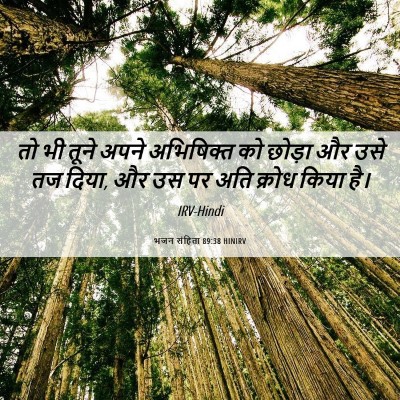 Picture 06 - भजन संहिता 89:38 HINIRV - तो भी तूने अपने - Bible Verse Picture