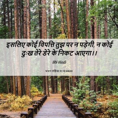 Picture 06 - भजन संहिता 91:10 HINIRV - इसलिए कोई विपत्ति - Bible Verse Picture
