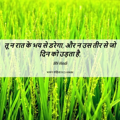Picture 06 - भजन संहिता 91:5 HINIRV - तू न रात के भय से - Bible Verse Picture