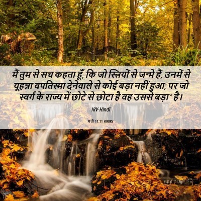 Picture 06 - मत्ती 11:11 HINIRV - मैं तुम से सच कहता - Bible Verse Picture