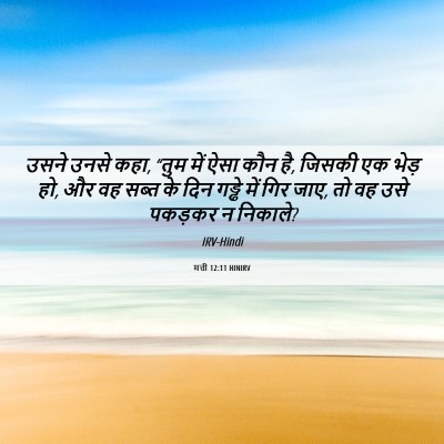 Picture 06 - मत्ती 12:11 HINIRV - उसने उनसे कहा, “तुम - Bible Verse Picture