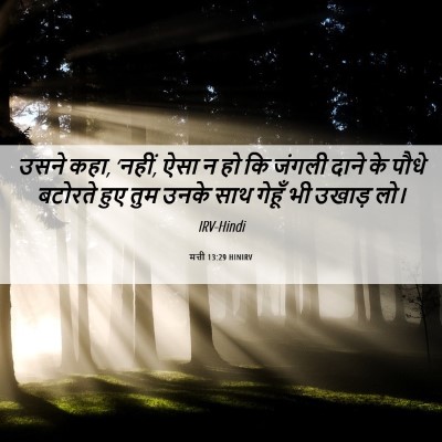 Picture 06 - मत्ती 13:29 HINIRV - उसने कहा, ‘नहीं, - Bible Verse Picture