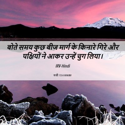 Picture 06 - मत्ती 13:4 HINIRV - बोते समय कुछ बीज - Bible Verse Picture