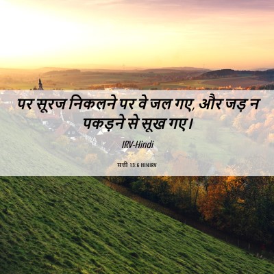 Picture 06 - मत्ती 13:6 HINIRV - पर सूरज निकलने पर - Bible Verse Picture