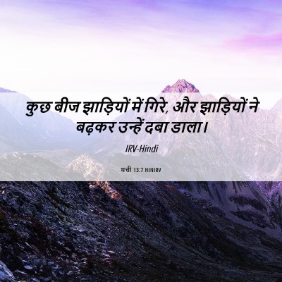 Picture 06 - मत्ती 13:7 HINIRV - कुछ बीज झाड़ियों - Bible Verse Picture