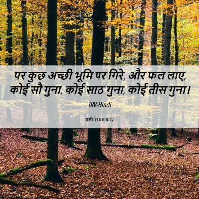 Picture 06 - मत्ती 13:8 HINIRV - पर कुछ अच्छी भूमि - Bible Verse Picture