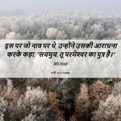 Picture 06 - मत्ती 14:33 HINIRV - इस पर जो नाव पर थे, - Bible Verse Picture