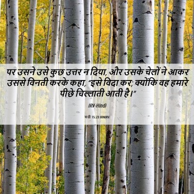 Picture 06 - मत्ती 15:23 HINIRV - पर उसने उसे कुछ - Bible Verse Picture