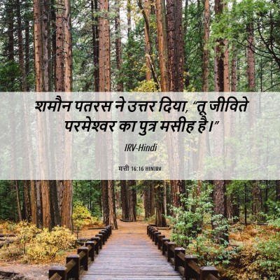 Picture 06 - मत्ती 16:16 HINIRV - शमौन पतरस ने उत्तर - Bible Verse Picture