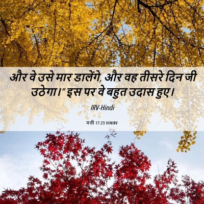Picture 06 - मत्ती 17:23 HINIRV - और वे उसे मार - Bible Verse Picture