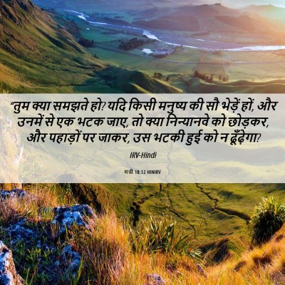 Picture 06 - मत्ती 18:12 HINIRV - “तुम क्या समझते हो? - Bible Verse Picture