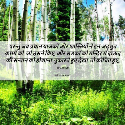 Picture 06 - मत्ती 21:15 HINIRV - परन्तु जब प्रधान - Bible Verse Picture