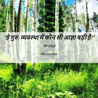 Picture 06 - मत्ती 22:36 HINIRV - “हे गुरु, व्यवस्था - Bible Verse Picture