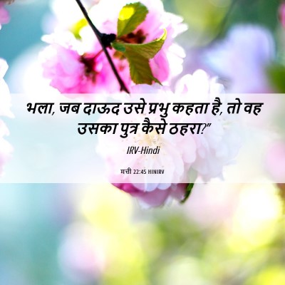Picture 06 - मत्ती 22:45 HINIRV - भला, जब दाऊद उसे - Bible Verse Picture